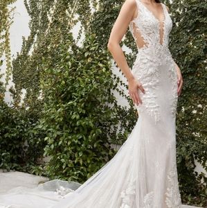 Cinderella Divine A1072W